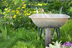 Schubkarre im Garten Wiese Frühling